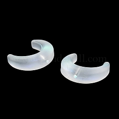 Gradient Handmade Lampwork Beads&nbsp;LAMP-C005-02F