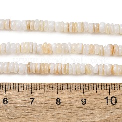 天然淡水シェルビーズ連売り  ディスク  ヒシビーズ  貝殻色  4~4.5x1~2.5mm  穴：0.6mm  約80~85個/連  7.24''（18.4センチメートル）&nbsp;SH-CBA2978-05A