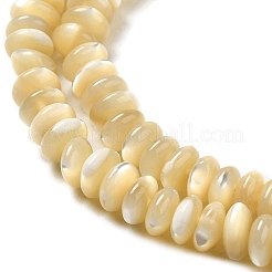Natural Trochus Shell Beads Strands&nbsp;SHEL-K006-25B