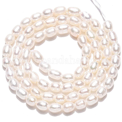 1 連売り天然養殖淡水真珠ビーズ 連売り  ライス  グレードAB  乳白色  4~6x3.5~4mm  穴：0.6mm  約73~75個/連  13.78~14.17インチ（35~36cm）&nbsp;PEAR-PA0001-10