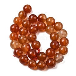 Natural Carnelian Beads Strands&nbsp;G-N0006-12mm-17