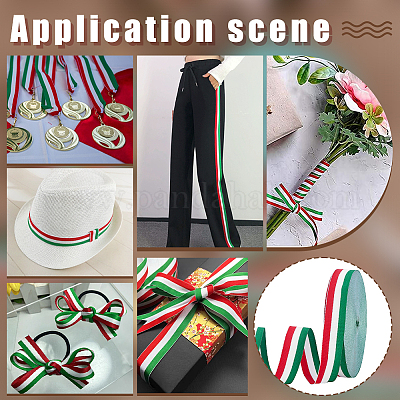 Polyester Braid Ribbon&nbsp;OCOR-WH0816-012A-1-1