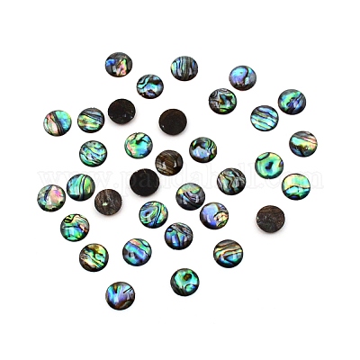 パウアシェルカボション  半円  10x2mm&nbsp;SHEL-WH0001-002B-1