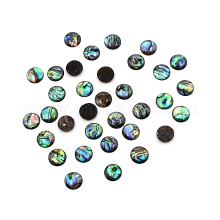 パウアシェルカボション  半円  10x2mm&nbsp;SHEL-WH0001-002B-1