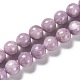 Natural Lepidolite Beads Strands&nbsp;G-H247-11B-2