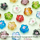 20Pcs 10 Colors Handmade Lampwork Beads&nbsp;LAMP-PH0001-15-3