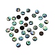 パウアシェルカボション  半円  10x2mm&nbsp;SHEL-WH0001-002B-1