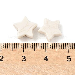 合成ハウライトビーズ  ジュエリー作りのための  フローラルホワイト  スター  10x11x4.5mm  穴：1.6mm&nbsp;G-V001-001C