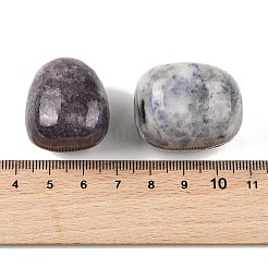 Natural Lepidolite Beads&nbsp;G-G348-01B-42