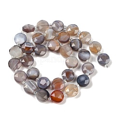 Natural Botswana Agate Beads Strands&nbsp;G-C116-A65-01