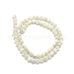 Natural White Shell Beads&nbsp;G-O171-09-6mm