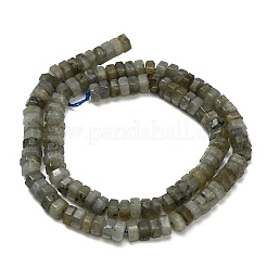 Natural Labradorite Beads Strands&nbsp;G-G317-A10-3x6mm