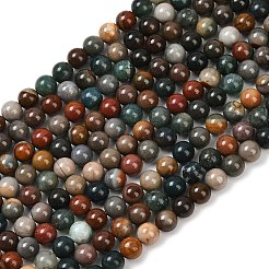 天然な新しい海洋ジャスパービーズ連売り  ラウンド  8mm  穴：1mm  約45~56個/連  14.96''（38センチメートル）&nbsp;G-G954-01-8mm-01