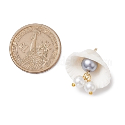 5色のシェルペンダント5個  ガラス/アクリル模造真珠タッセルシェル型チャーム  ゴールドカラー  ミックスカラー  22x26x9mm  穴：1.8mm  1pc /カラー&nbsp;PALLOY-JF02976