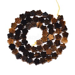 天然石タイガーアイビーズ連売り  スター  5.5~6x6~6.5x2~3mm  穴：0.7~0.8mm  約63~65個/連  14.76~15.16インチ（37.5~38.5cm）&nbsp;G-N257-24A-03