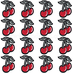 30Pcs Computerized Embroidery Cloth Iron on/Sew on Patches&nbsp;PATC-CY0001-23