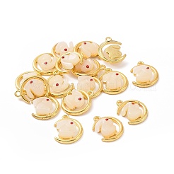 Alloy with Glass Imitation Jade Pendants&nbsp;FIND-G047-03G