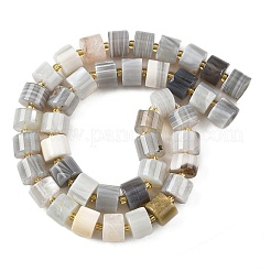 Natural Botswana Agate Beads Strands&nbsp;G-K245-C17