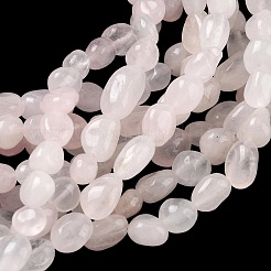 Natural Rose Quartz Beads Strands&nbsp;G-C286-A32