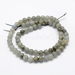 Natural Labradorite Beads Strands&nbsp;G-P322-29-6mm