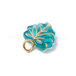 鉄製ペンダント付きアクリル  葉  ミックスカラー  14~14.5x12.5~13x4.5mm  穴：3mm&nbsp;PALLOY-JF03684