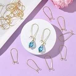 SHEGRACE Brass Kidney Ear Wire&nbsp;XGR0004G-43G