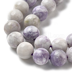Natural Purple Turquoise Beads Strands&nbsp;G-L595-C04-02