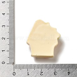 Cartoon Food Hous Opaque Resin Decoden Cabochons&nbsp;CRES-H001-01B