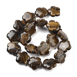 天然石タイガーアイビーズ連売り  花  20x20x6mm  穴：1.4mm  約20個/連  14.57~14.96インチ（37~38cm）&nbsp;G-F769-H01-02