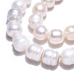 天然養殖淡水パールビーズ連売り  ライス  貝殻色  6.5~14.5x10~12.5mm  穴：0.6mm  31~45個/連  15.67~16.14インチ（39.8~41cm）&nbsp;PEAR-N012-10E