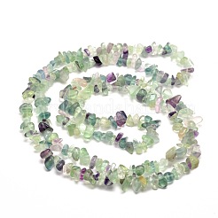 1 Strand Natural Fluorite Chip Bead Strands&nbsp;G-DJ0001-03