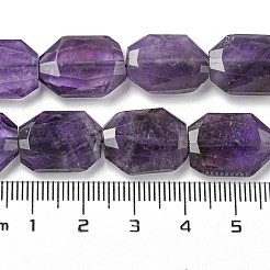 Natural Amethyst Beads Strands&nbsp;G-P544-B06-01