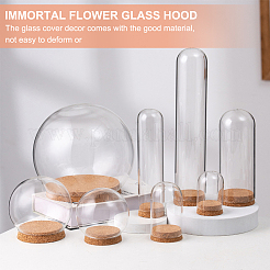6 Sets Glass Dome Cover&nbsp;DJEW-BC0001-10