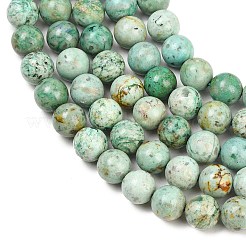 Natural Peruvian Turquoise(Jasper) Beads Strands&nbsp;G-F836-A02-8mm