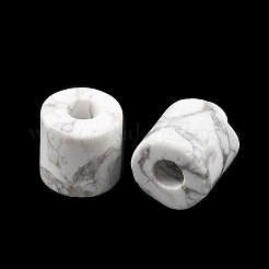 Natural Howlite Beads&nbsp;G-I395-B04