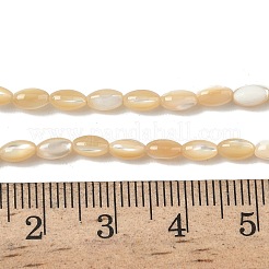 Natural Trochus Shell Beads Strands&nbsp;SHEL-K006-53
