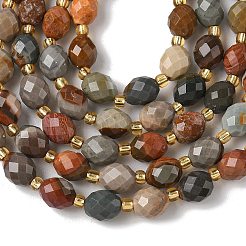 Natural Alashan Agate Beads Strands&nbsp;G-F809-A24-01