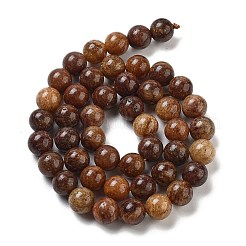 Natural Gemstone Beads Strands&nbsp;G-H045-A01-8MM