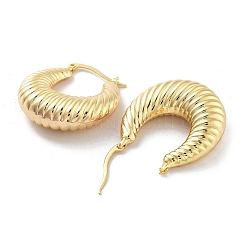 Brass Hoop Earrings&nbsp;EJEW-H301-03G-02