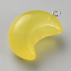 Transparent Luminous Glow in the Dark Resin Pendnats&nbsp;RESI-WH0038-27B-03