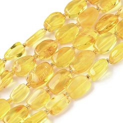 Natural Amber Beads Strands&nbsp;G-L095-C01-02