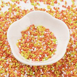 Baking Paint Glass Seed Beads&nbsp;X-SEED-S042-05B-44