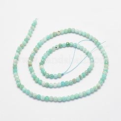Natural Amazonite Bead Strands&nbsp;G-P279-42-3mm