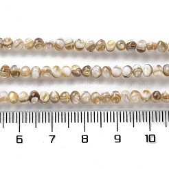 天然淡水シェルビーズ連売り  ロンデル  4x3~3.5mm  穴：0.9mm  約128個/連  15.63''（39.7センチメートル）&nbsp;SSHEL-B002-18