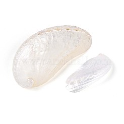 アワビの貝殻の装飾品  花瓶フィラー  ビーチウェディングの貝殻工芸品  貝殻色  35.5~69x19~31x6.9~9mm  穴：1.5~2.5x4mm&nbsp;SHEL-T020-54
