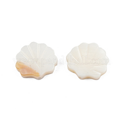 Natural Freshwater Shell Beads&nbsp;X-SHEL-T007-02