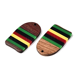 Jamaican Colour Epoxy Resin & Walnut Wood Pendants&nbsp;RESI-N039-122R