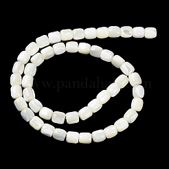 Natural Trochus Shell Beads Strands&nbsp;BSHE-E030-05A