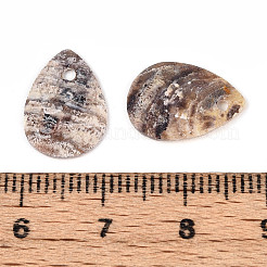 Natural Akoya Shell Pendants&nbsp;SHEL-T020-22
