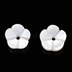 Natural White Shell Beads&nbsp;SSHEL-S260-053